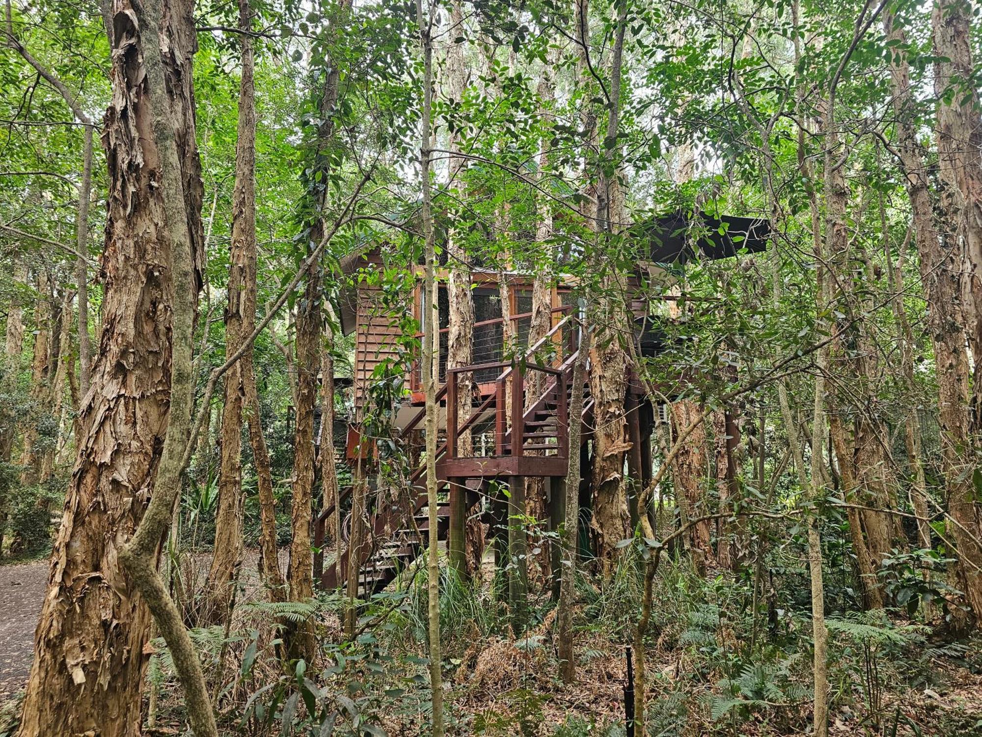Wanderers Retreat Hotel Nelson Bay Bagian luar foto